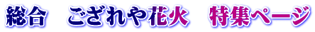総合　ござれや花火　特集ページ